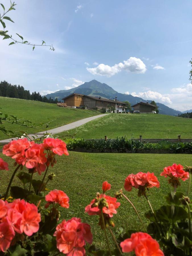 Appartement Woergoetter Evi Sankt Johann in Tirol Exterior foto